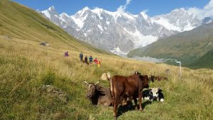 Trekking in Svaneti